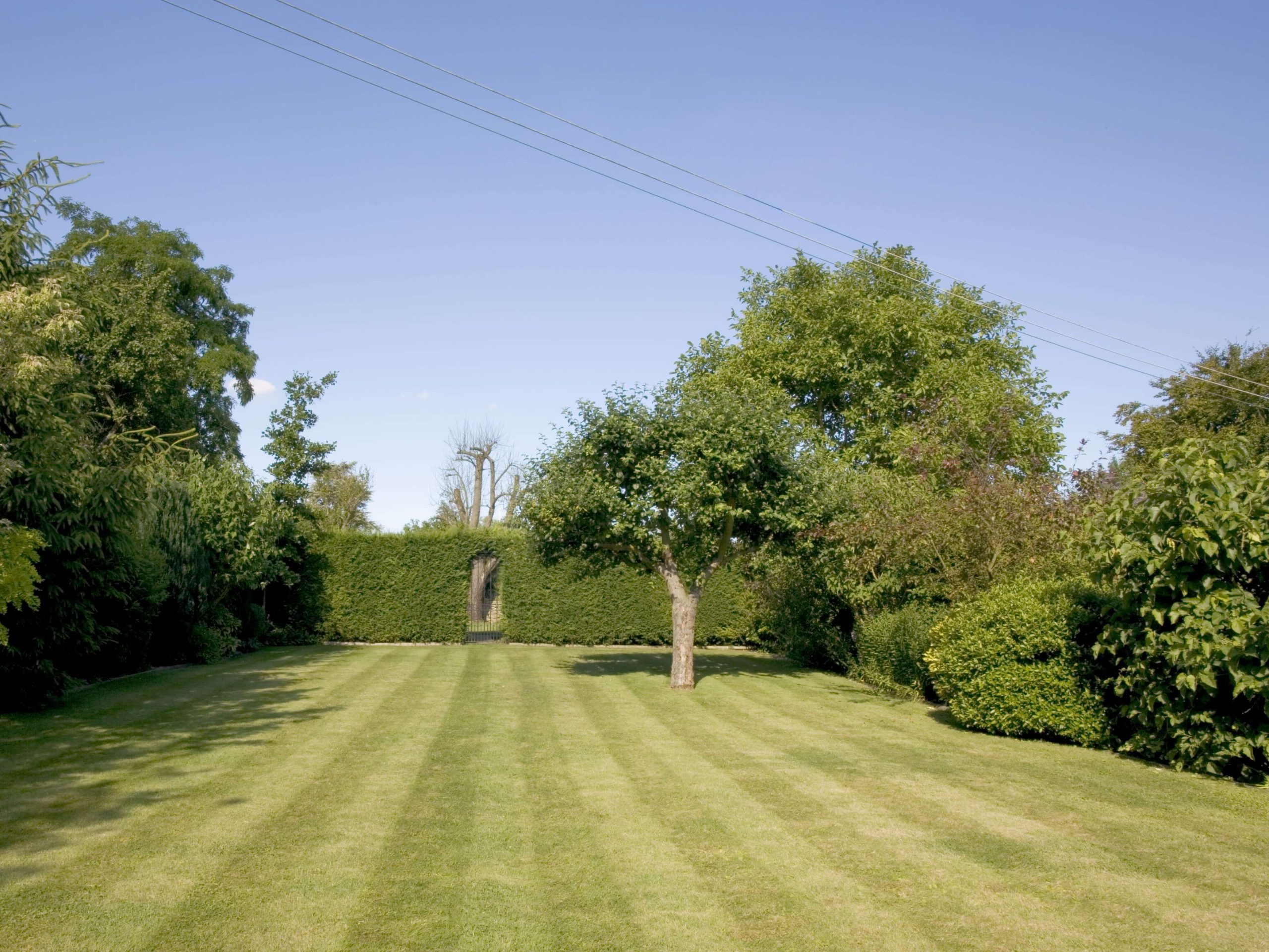 Lawn Mowing/Hedge Trimming Worcester Park KT4
